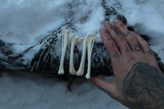 Rabbit Bone Lot