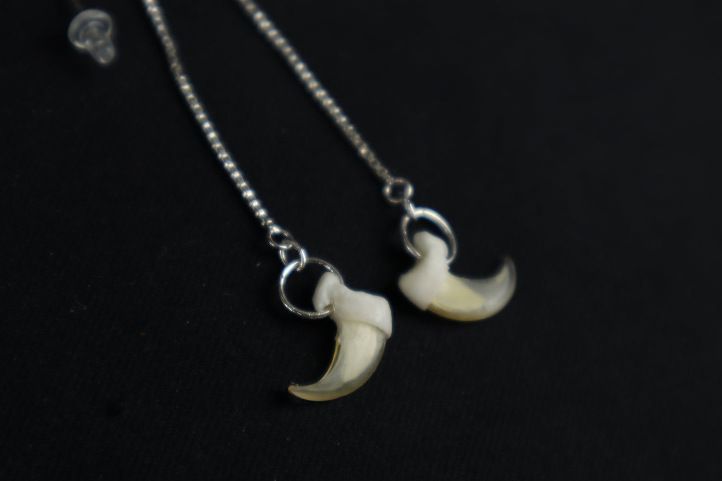 Cat Claw Earrings