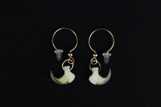 Reserved for Lee the Pigeon - Cat Claw Earrings - 14k Yellow Gold
