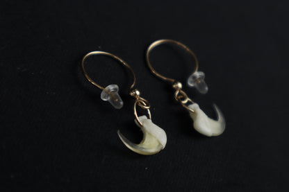 Reserved for Lee the Pigeon - Cat Claw Earrings - 14k Yellow Gold