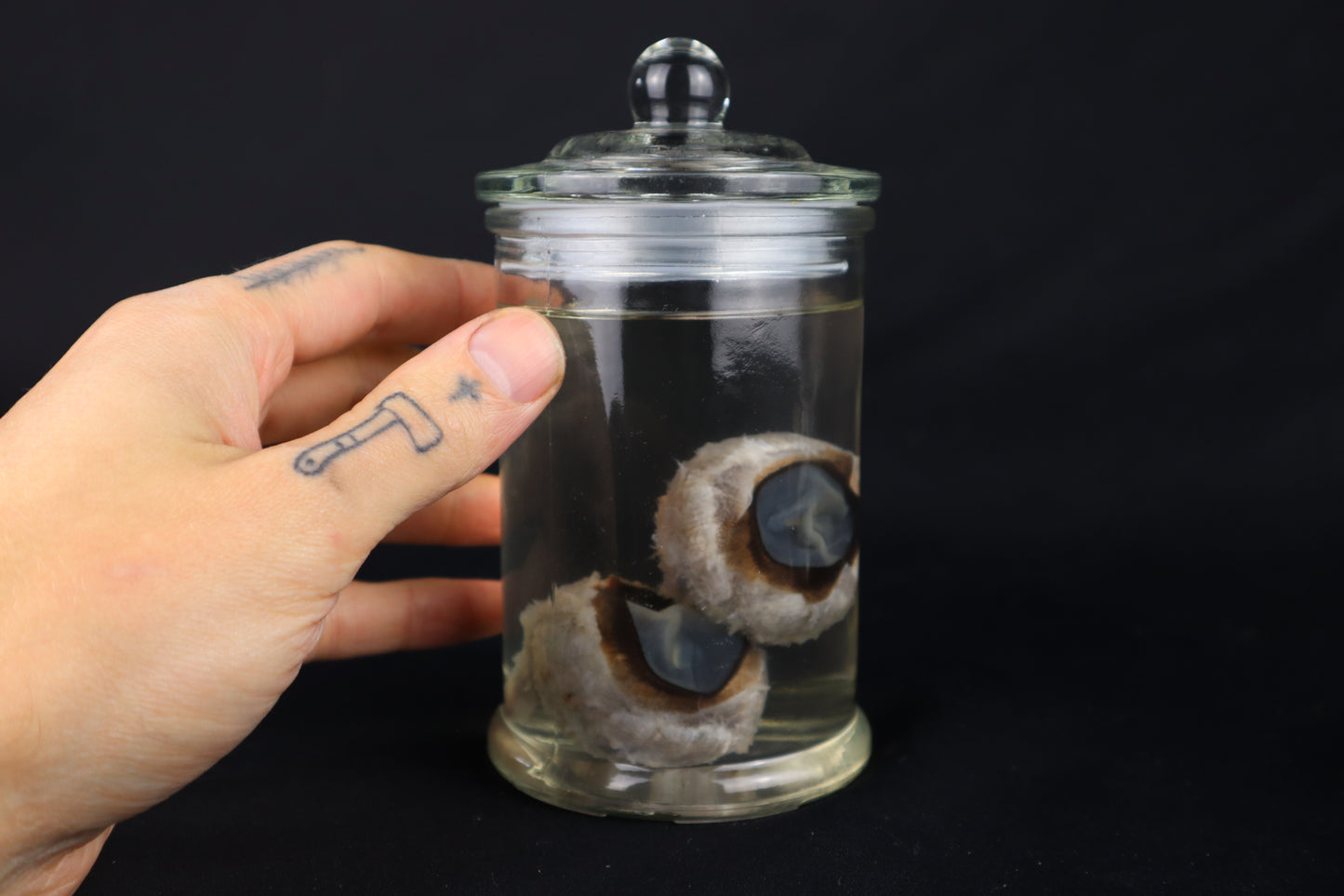 Wet Specimen Bison Eyeballs