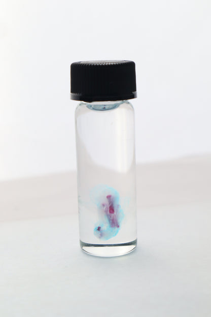 Diaphonized Fetal Bobcat Leg