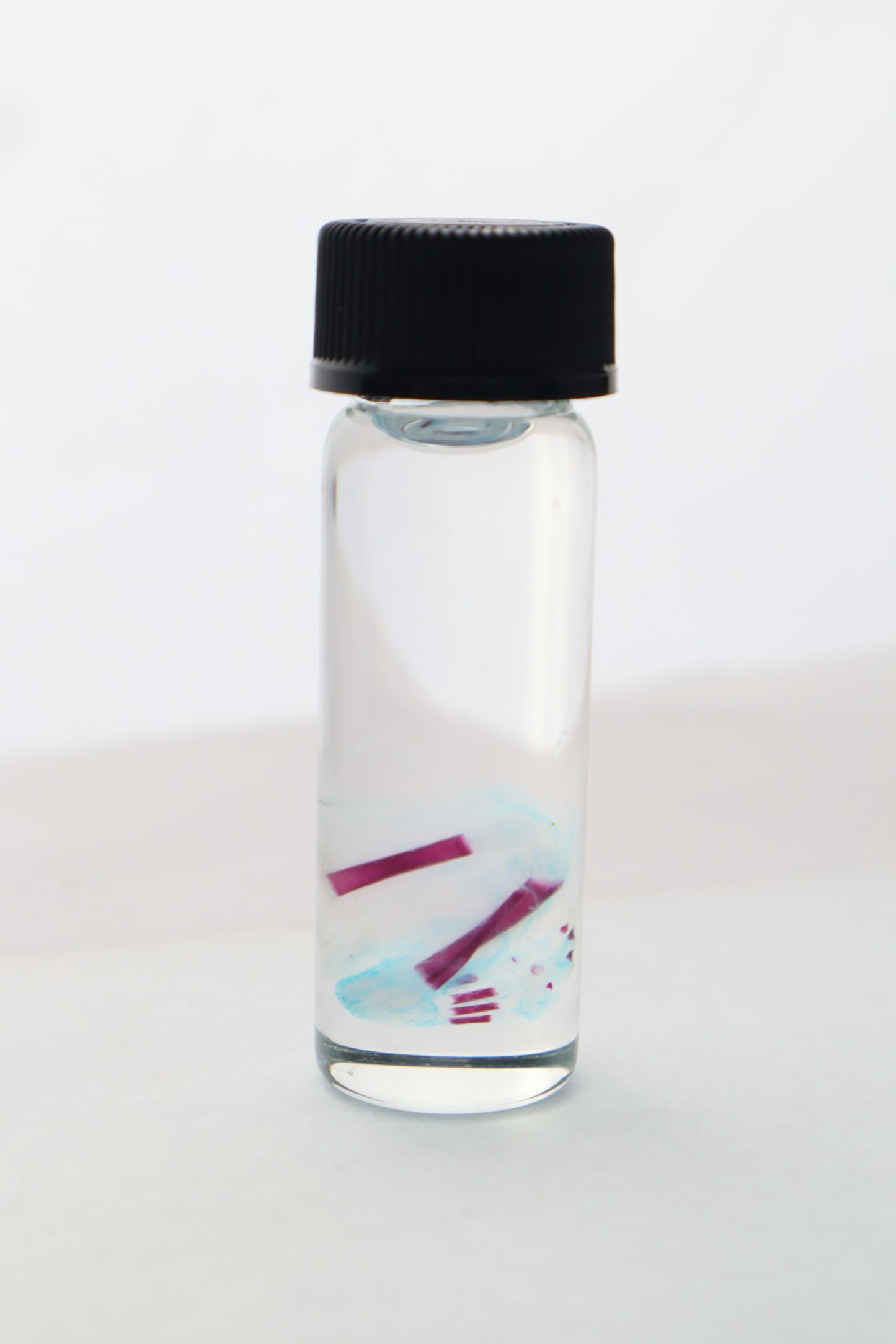 Diaphonized Fetal Bobcat Leg
