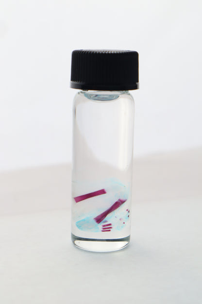 Diaphonized Fetal Bobcat Leg