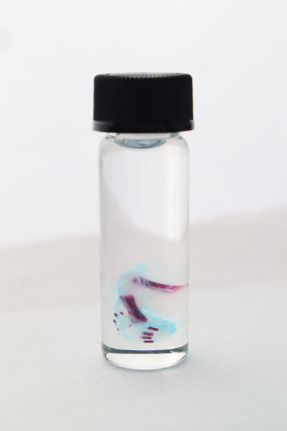 Diaphonized Fetal Bobcat Leg