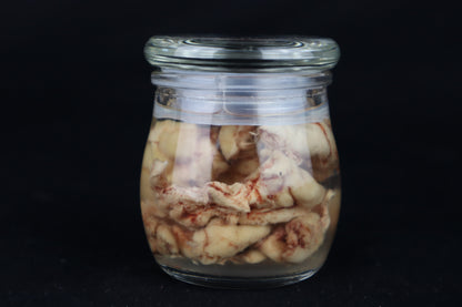 Wet Specimen Bison Brains