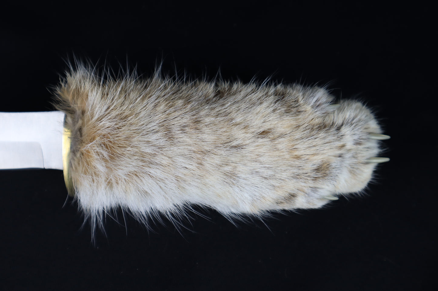 Bobcat Paw Knife