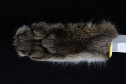 Bobcat Paw Knife