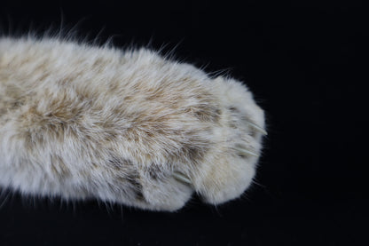 Bobcat Paw Knife