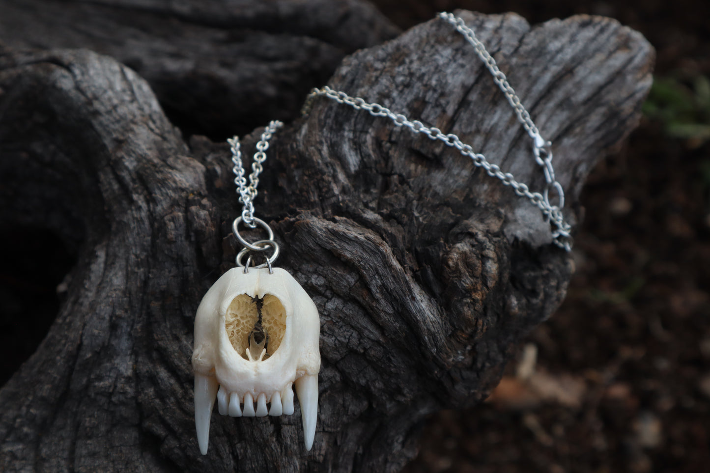 Raccoon Snout Necklace