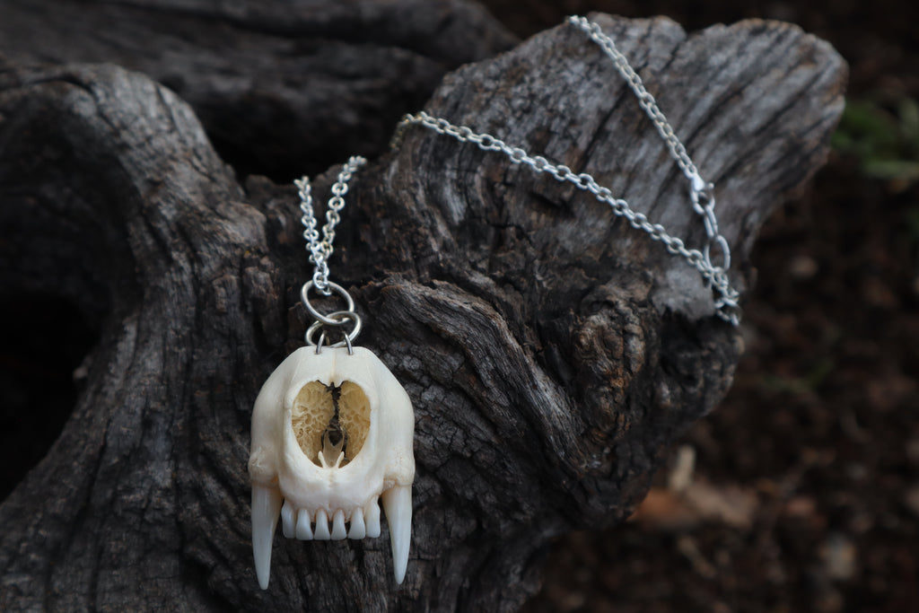 Raccoon Snout Necklace