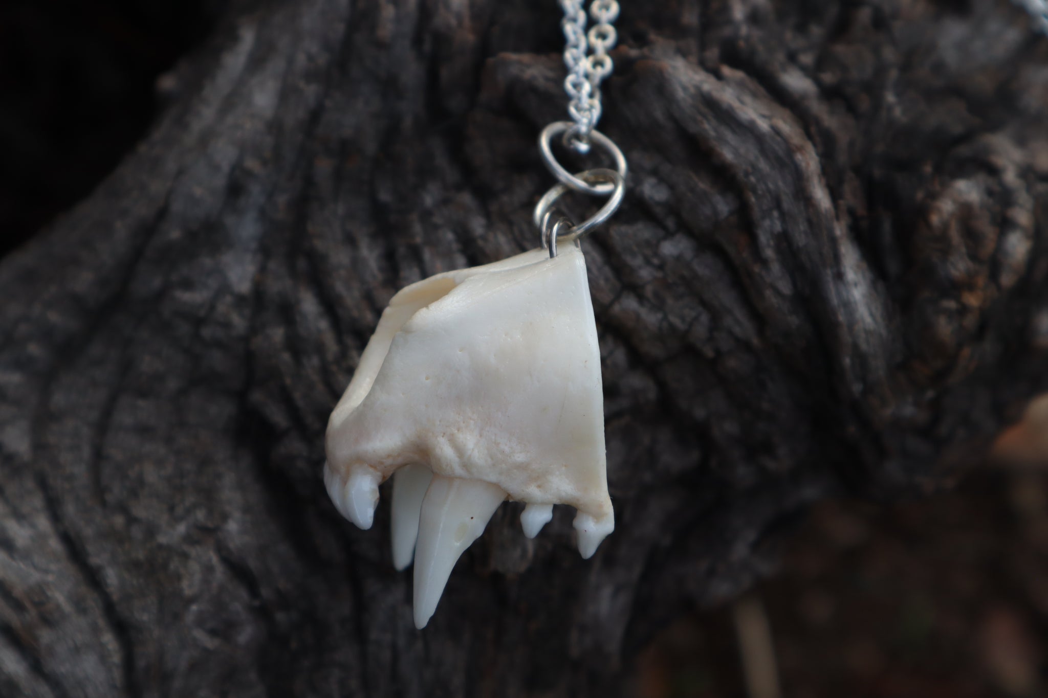 Raccoon Snout Necklace