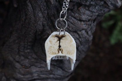 Raccoon Snout Necklace