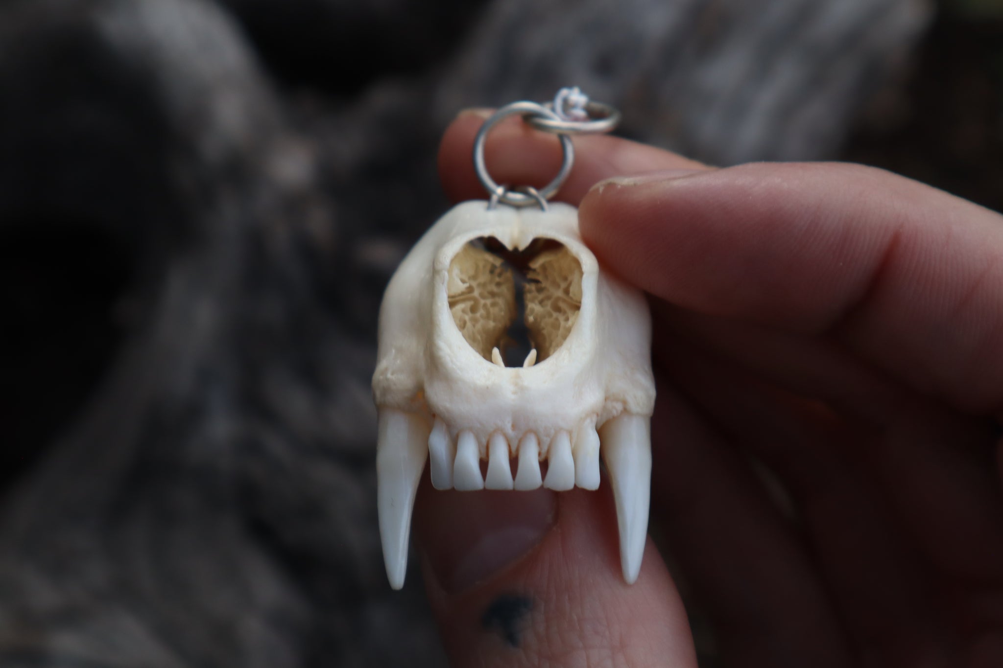 Raccoon Snout Necklace