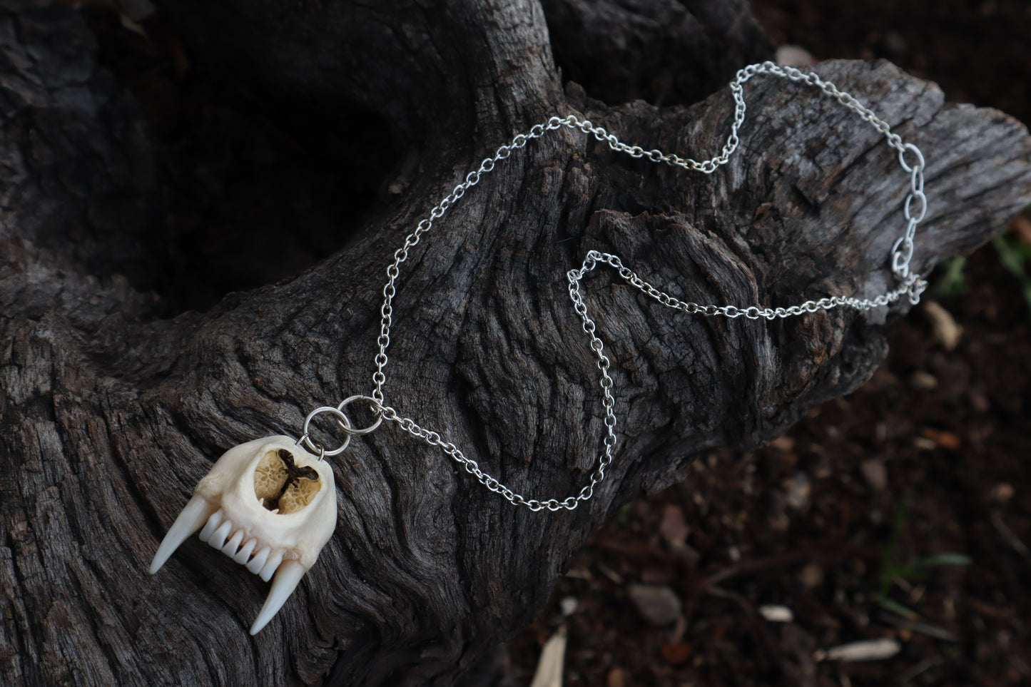 Raccoon Snout Necklace