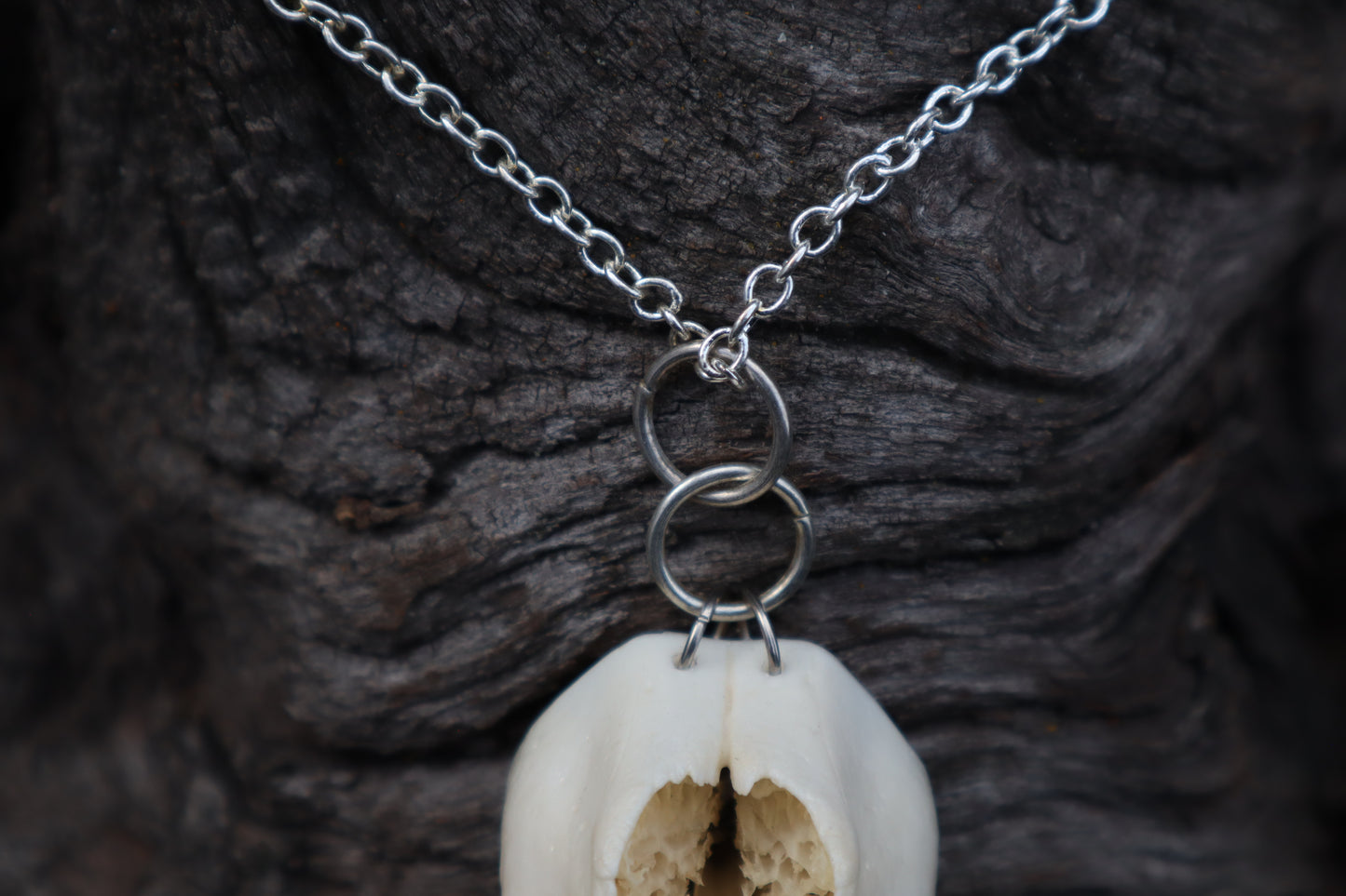 Raccoon Snout Necklace