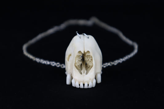 Raccoon Snout Necklace