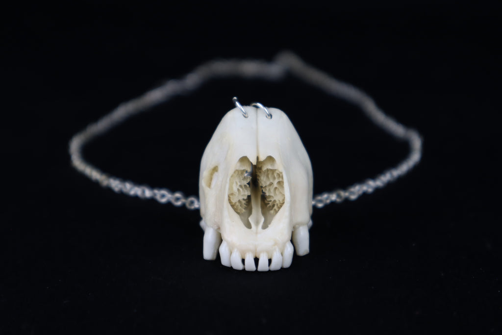 Raccoon Snout Necklace