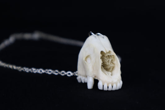 Raccoon Snout Necklace