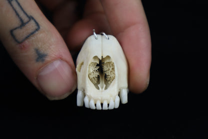 Raccoon Snout Necklace