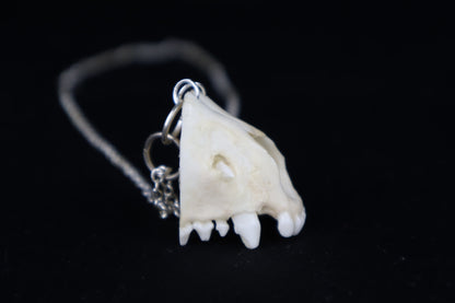Raccoon Snout Necklace