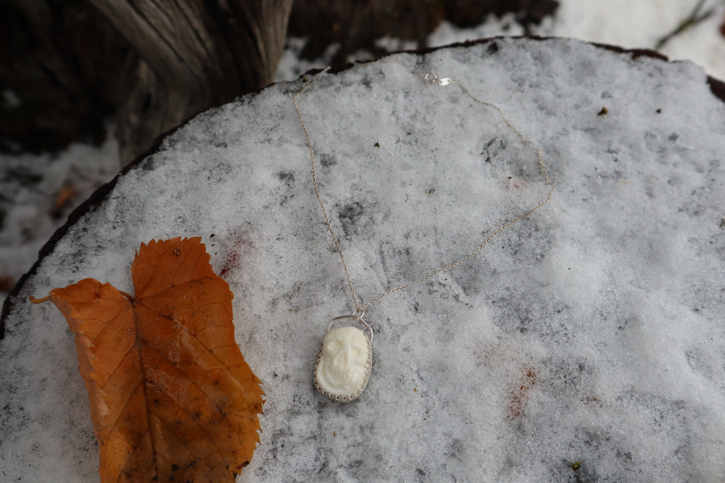 Gray Wolf Bone "Skull" Necklace - .925 Sterling Silver
