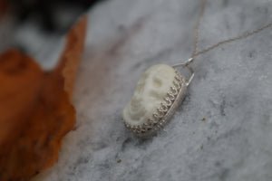Gray Wolf Bone "Skull" Necklace - .925 Sterling Silver