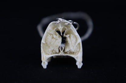 Raccoon Snout Necklace