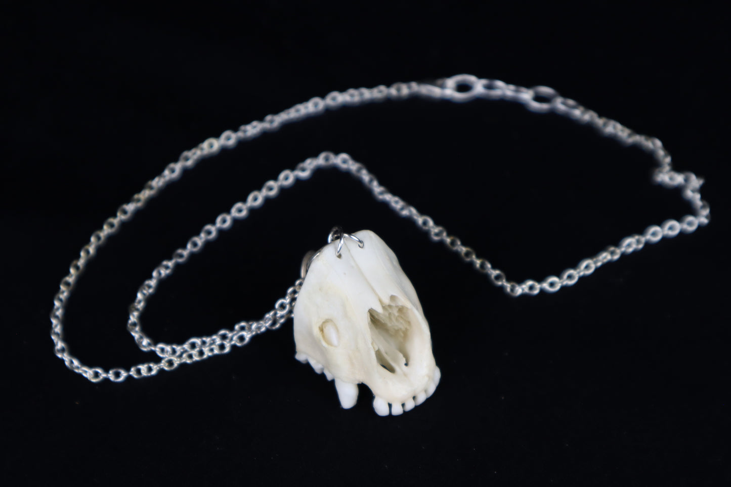 Raccoon Snout Necklace