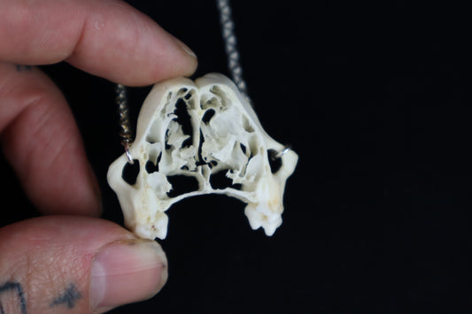 Raccoon Skull Slice Necklace
