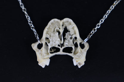 Raccoon Skull Slice Necklace