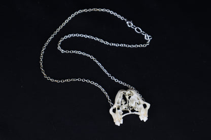 Raccoon Skull Slice Necklace