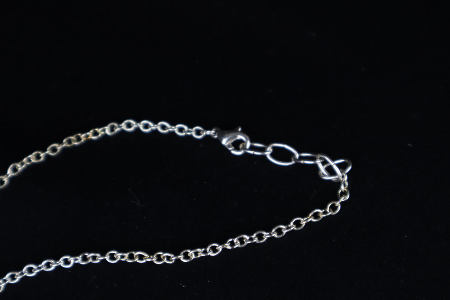 Raccoon Skull Slice Necklace