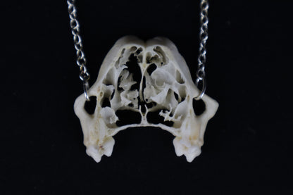 Raccoon Skull Slice Necklace