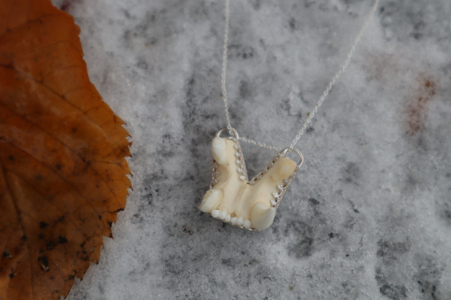 Bobcat Skull Fragment Necklace - .925 Sterling Silver