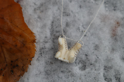 Bobcat Skull Fragment Necklace - .925 Sterling Silver