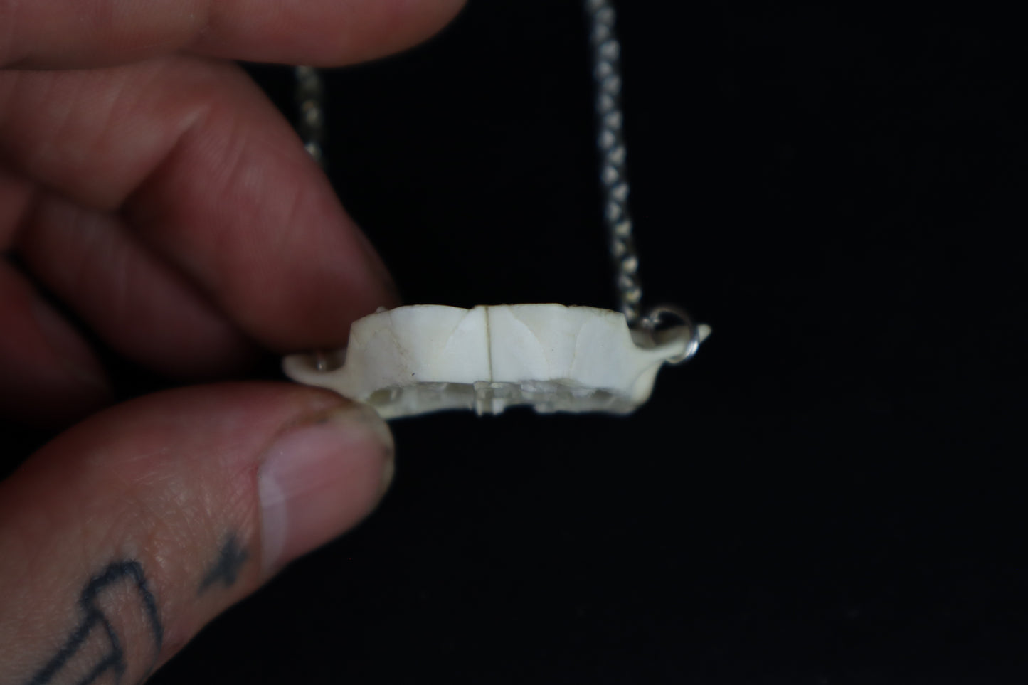Raccoon Skull Slice Necklace
