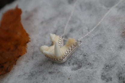 Bobcat Skull Fragment Necklace - .925 Sterling Silver