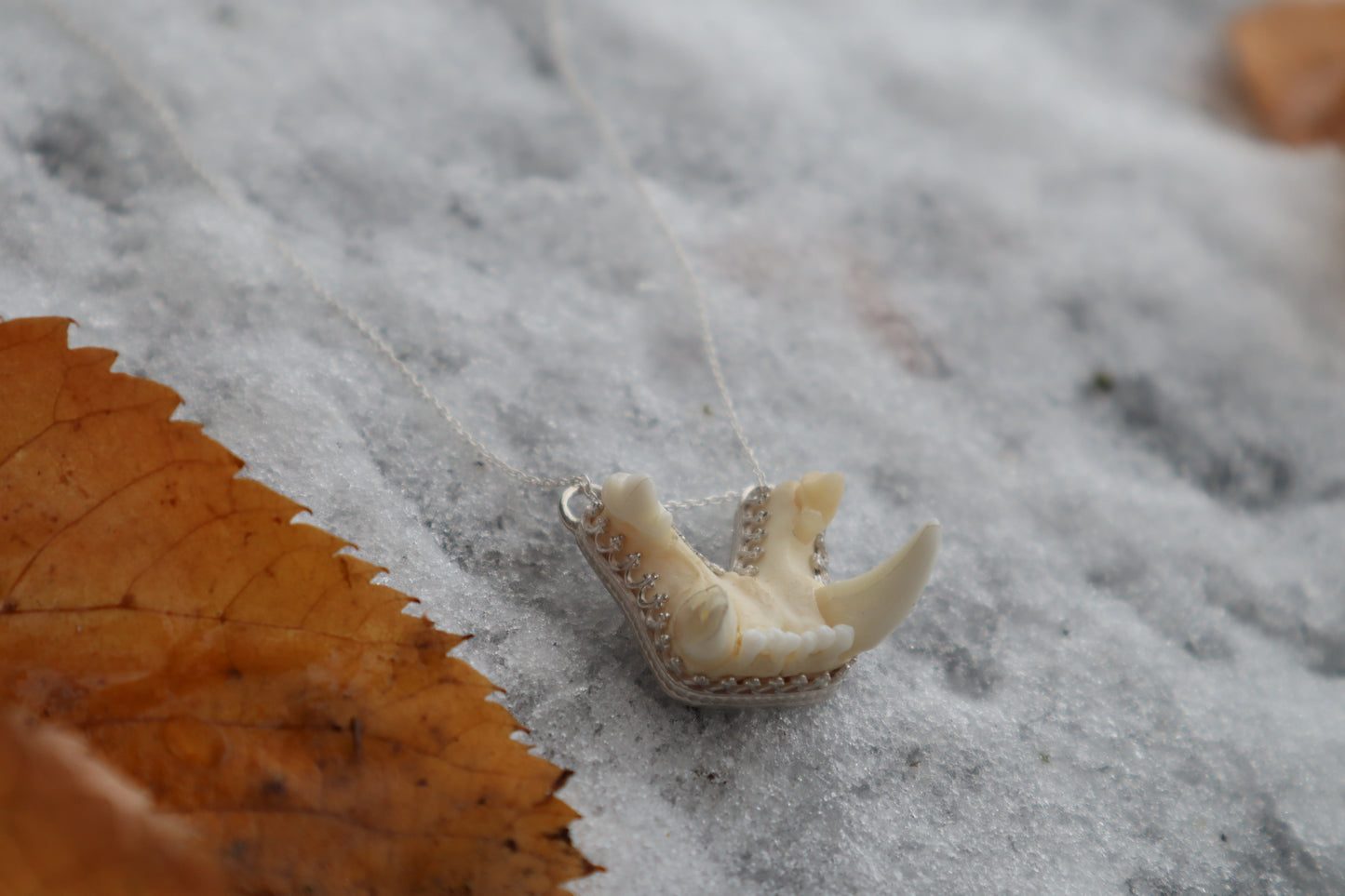 Bobcat Skull Fragment Necklace - .925 Sterling Silver