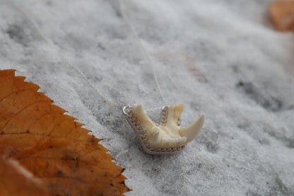 Bobcat Skull Fragment Necklace - .925 Sterling Silver