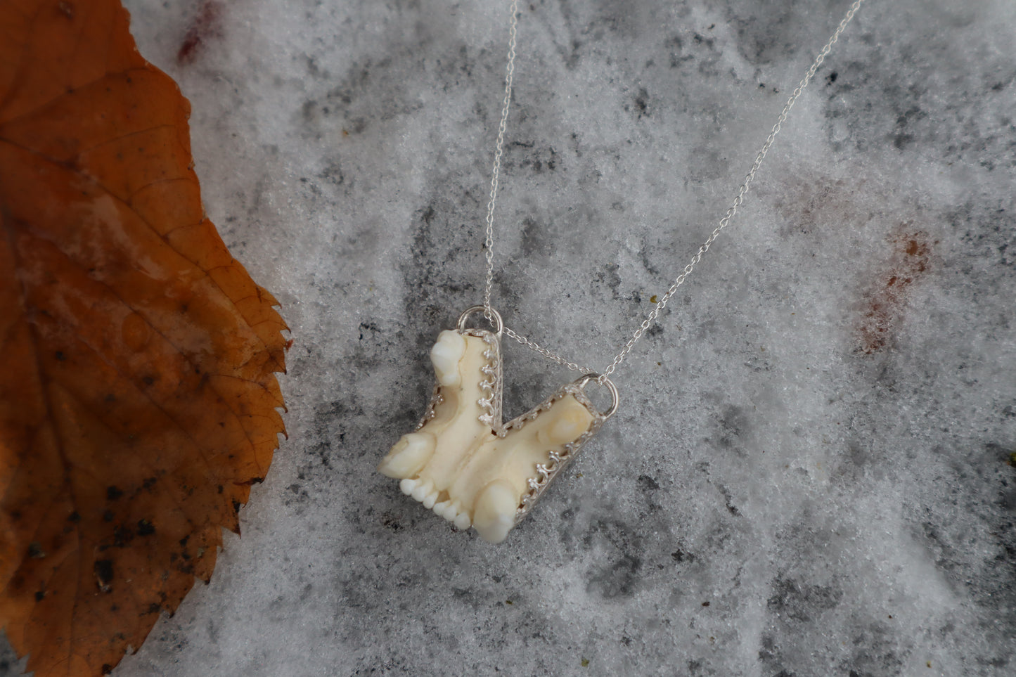 Bobcat Skull Fragment Necklace - .925 Sterling Silver