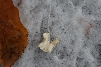 Bobcat Skull Fragment Necklace - .925 Sterling Silver