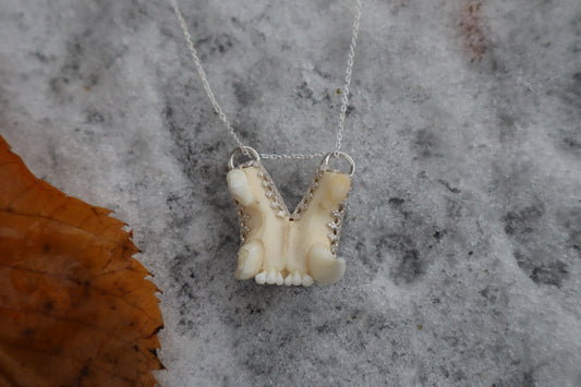 Bobcat Skull Fragment Necklace - .925 Sterling Silver