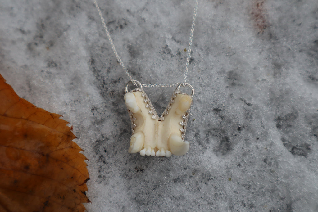 Bobcat Skull Fragment Necklace - .925 Sterling Silver