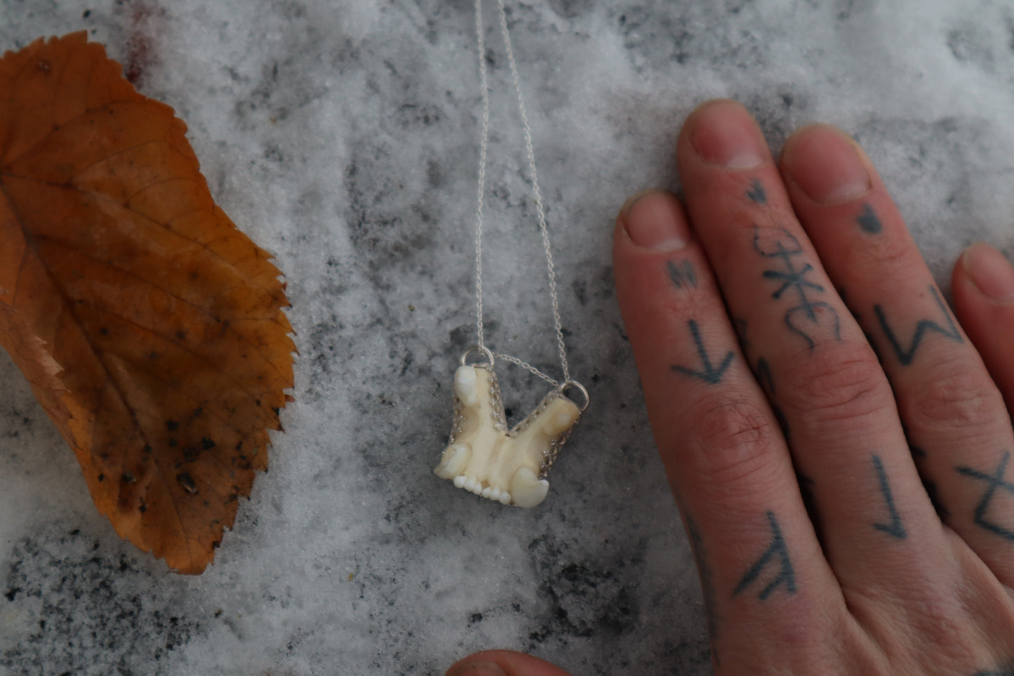 Bobcat Skull Fragment Necklace - .925 Sterling Silver