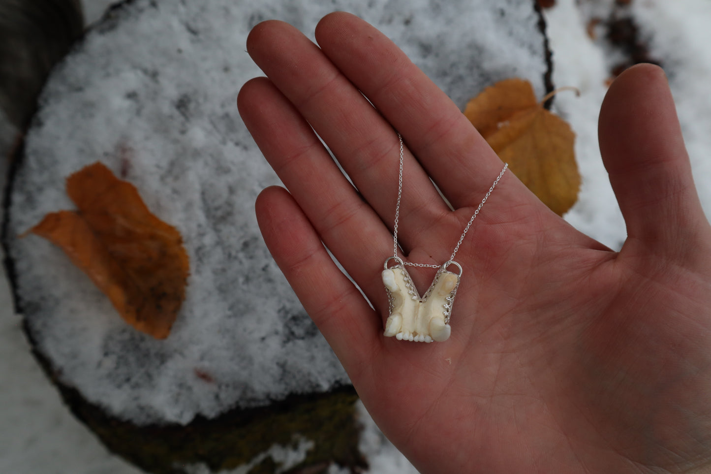 Bobcat Skull Fragment Necklace - .925 Sterling Silver