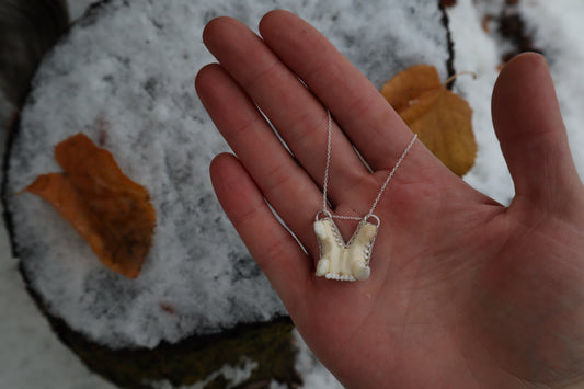 Bobcat Skull Fragment Necklace - .925 Sterling Silver