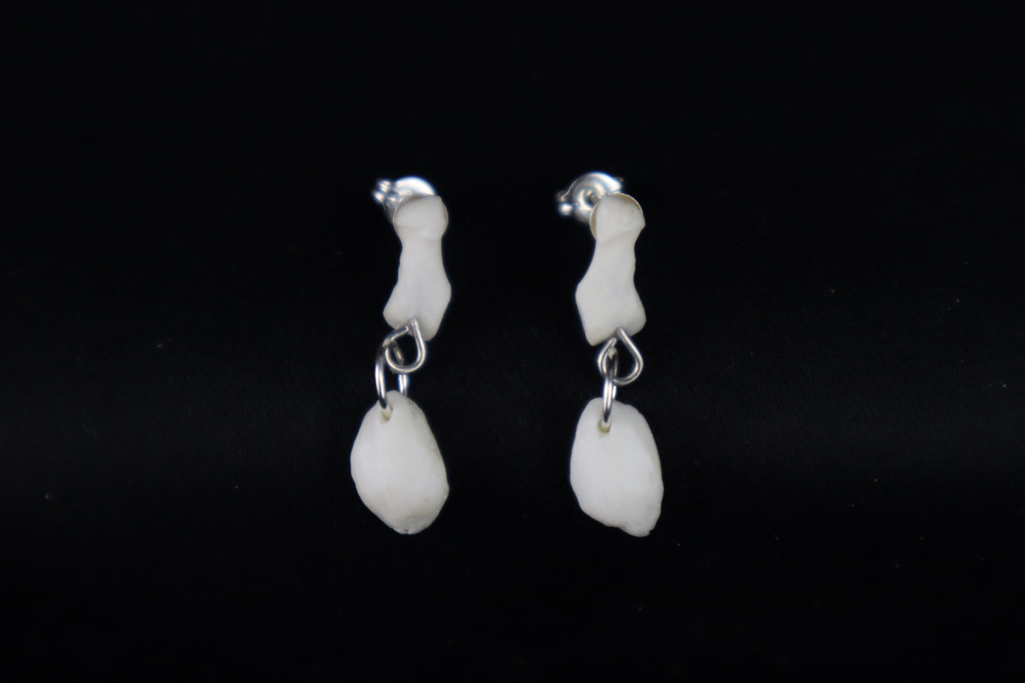 Red Fox Patella and Rib Stud Earrings - .925 Silver
