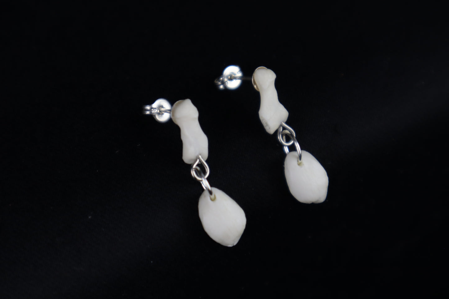 Red Fox Patella and Rib Stud Earrings - .925 Silver