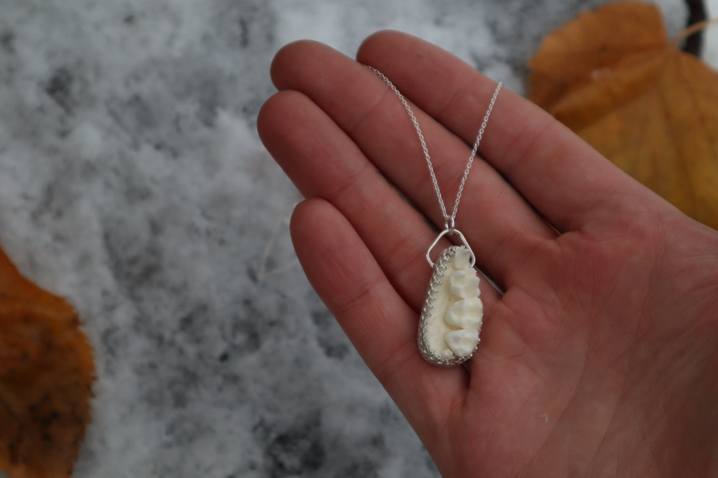Raccoon Skull Fragment Necklace - .925 Sterling Silver